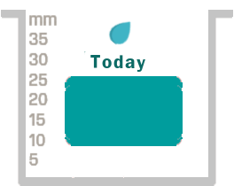 Rain Gauge Live Rain Gauge